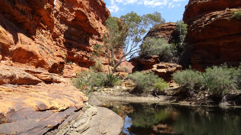 Garden of Eden - Und wo sind jetzt die Krokodile??