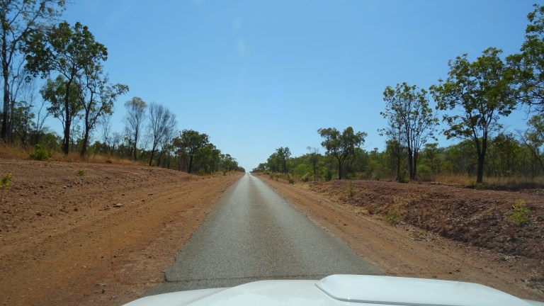 Der Roadtrip – eine Zwischenbilanz